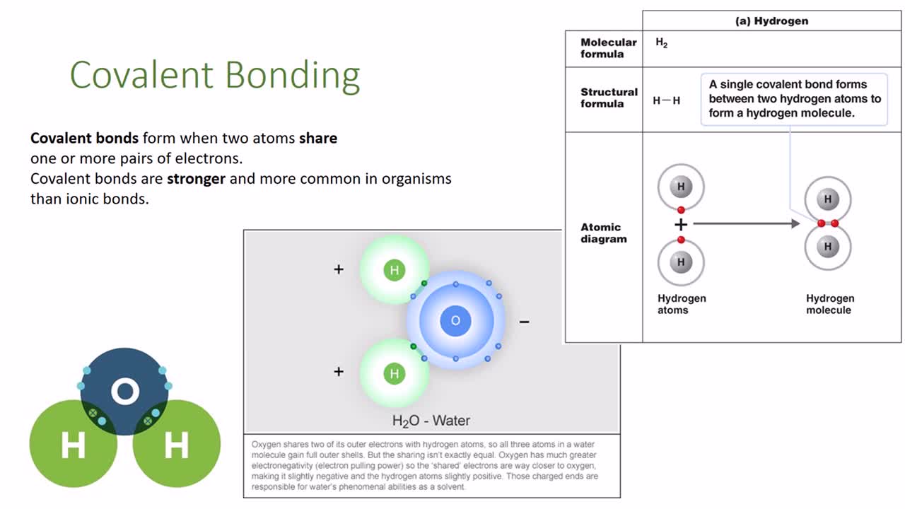 Chemistry: Atomic Structure and Bonding