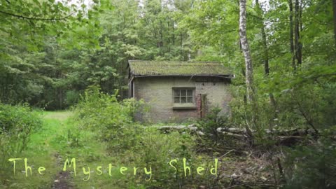 The Mystery Shed