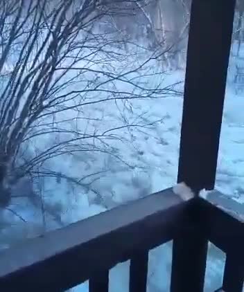 Jesus Imagine waking up to this