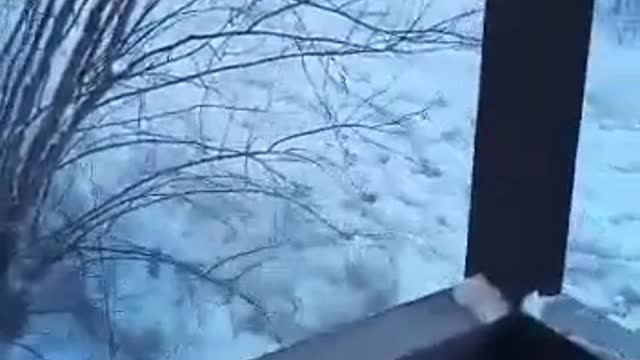 Jesus Imagine waking up to this