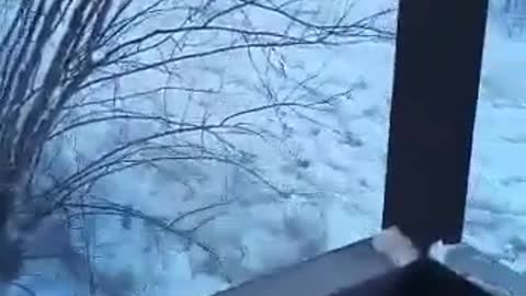 Jesus Imagine waking up to this