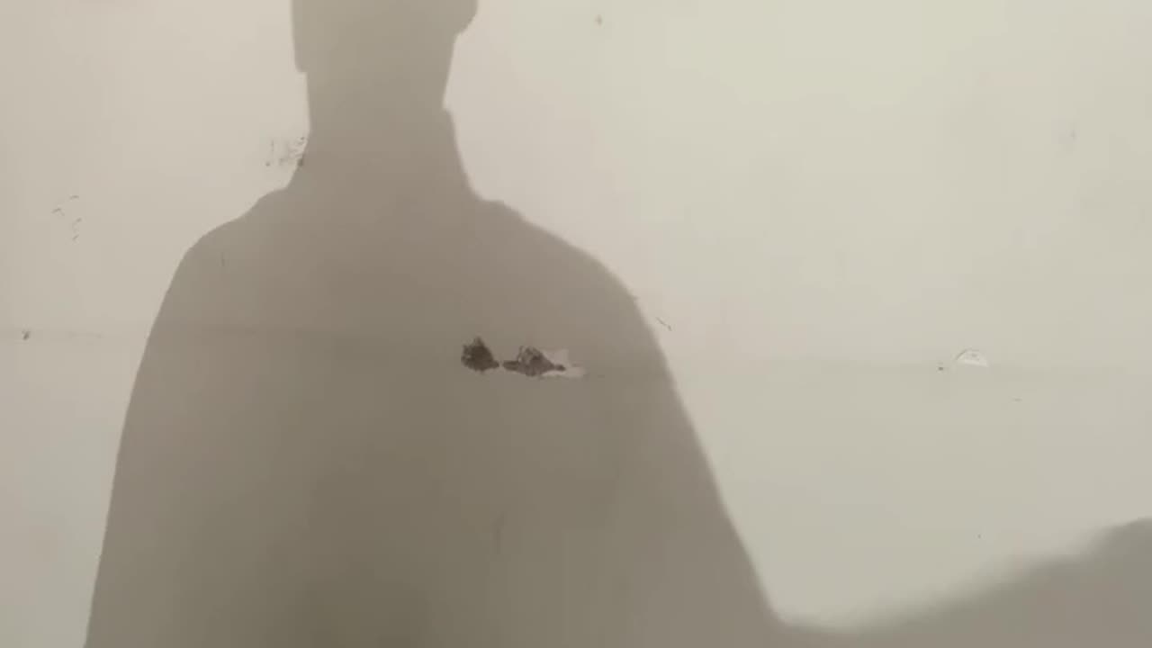 Sadiya Khul Jaai (Rang De Basanti)