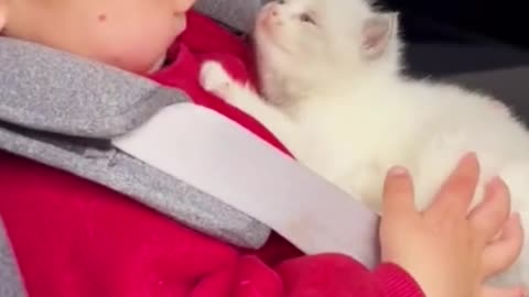 Cute short video | viral cute baby video | cute baby and cat video