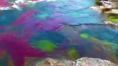 Water So Clear