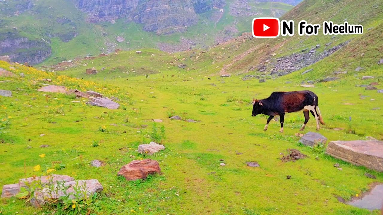 The beauty of neelum valley azad kashmir|with pahari song Dasi Pahari Maya