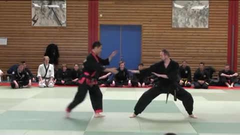 Hanminjok Hapkido Seminar 2011