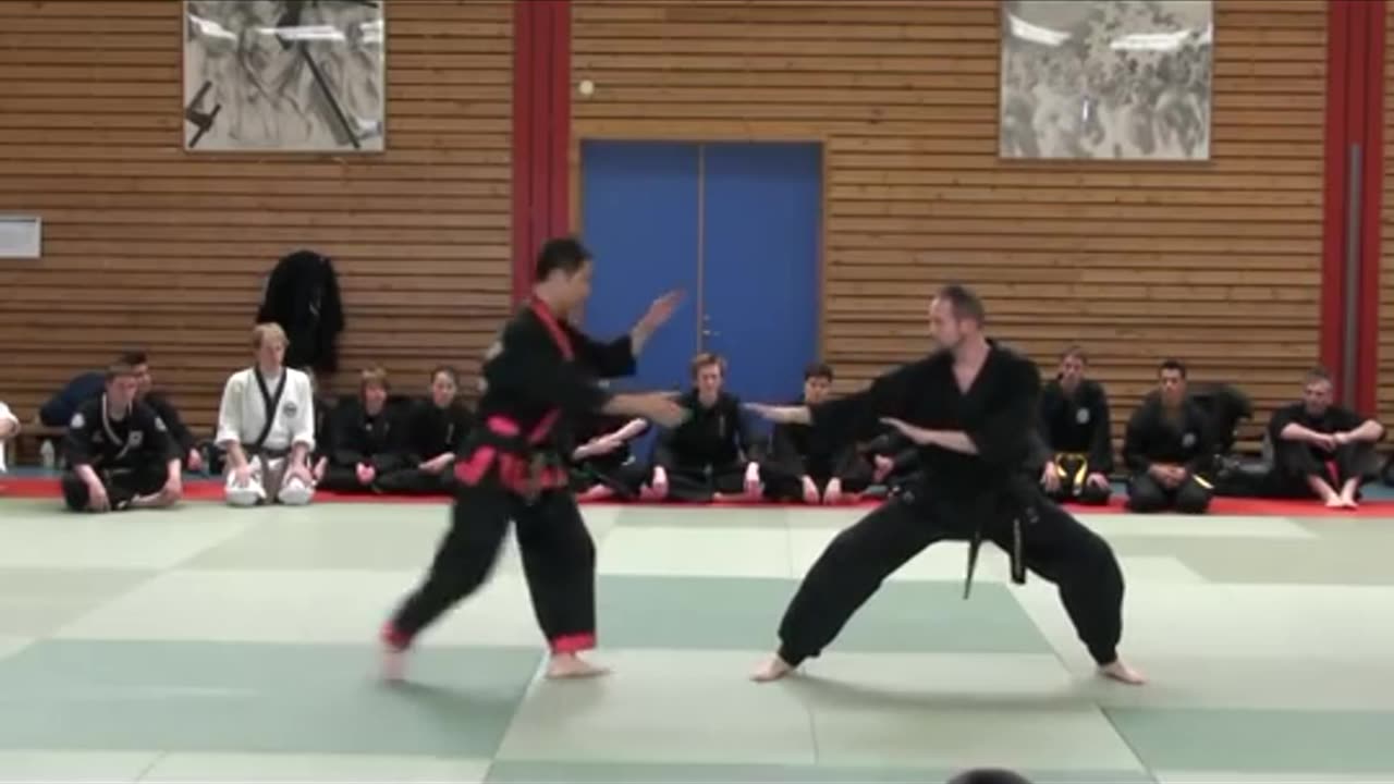 Hanminjok Hapkido Seminar 2011