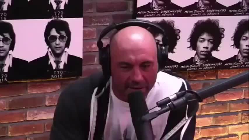 Joe Rogan The actions done by Ordinary Men christopher-r-browning