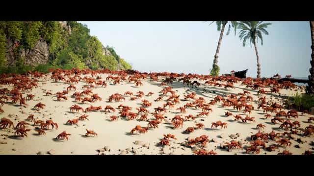 CRABS PARTY ON...ENJOY