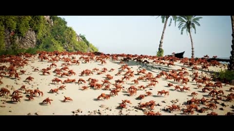 CRABS PARTY ON...ENJOY