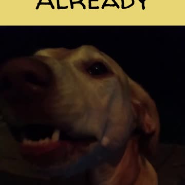 This Is How Molly Is Feeling Today.