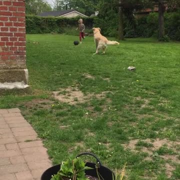 Girl "play" football