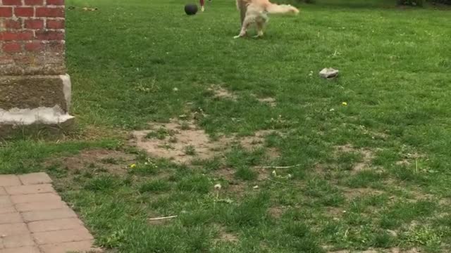 Girl "play" football