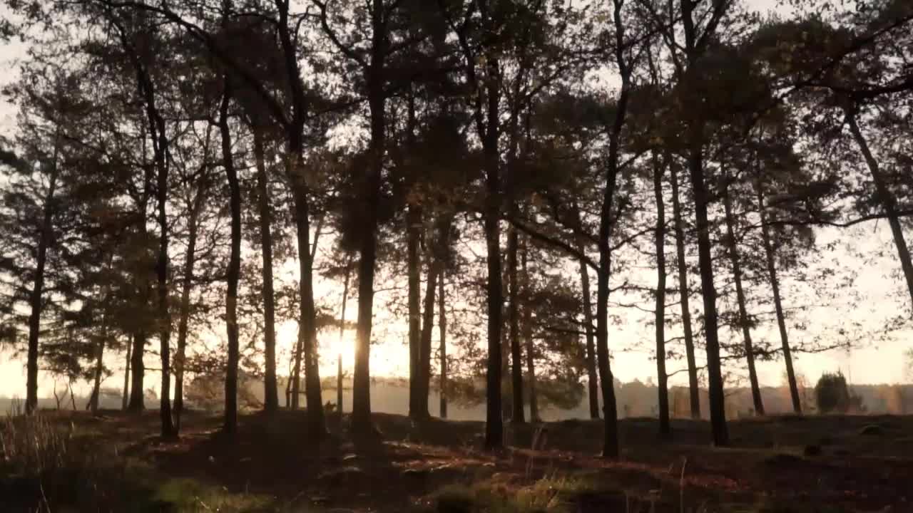 Morning Relaxing Music, stress relief, Meditation, sleep, spa