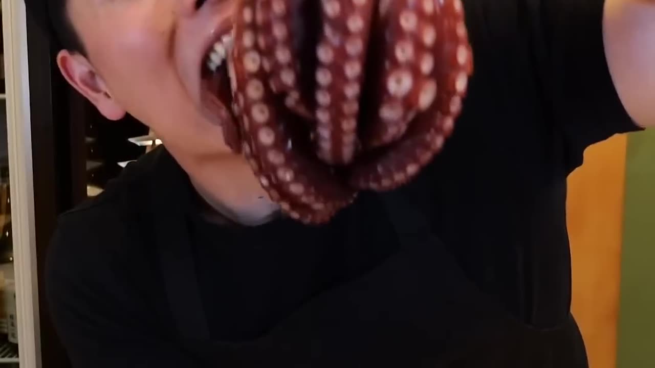 Octopus 🐙