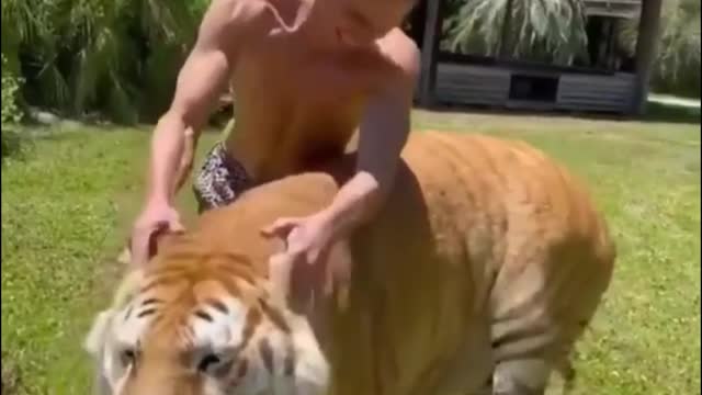 Best Funny Animal Videos of the year (2021), funniest animals ever.