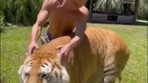 Best Funny Animal Videos of the year (2021), funniest animals ever.