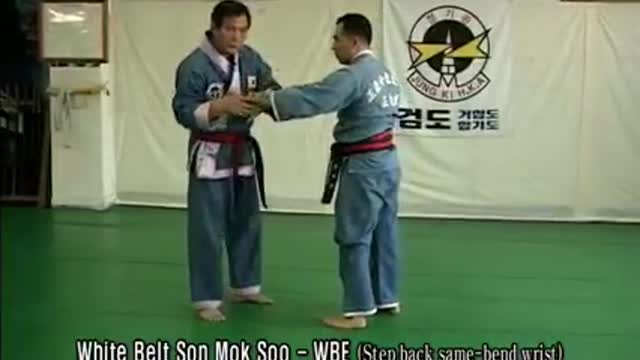 Authentic Hapkido