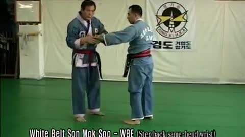 Authentic Hapkido