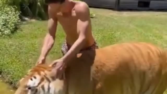 The strange antics of the animals of their master | animals videos