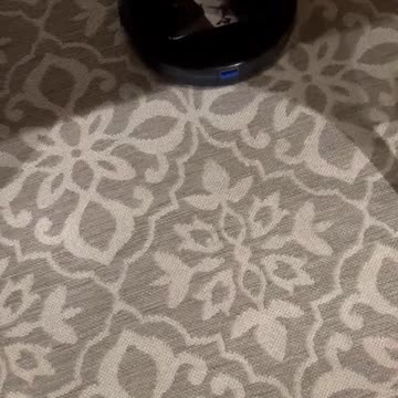 Bribery Biden Roomba Navigates Better Than the Dementia Patient it Mimics