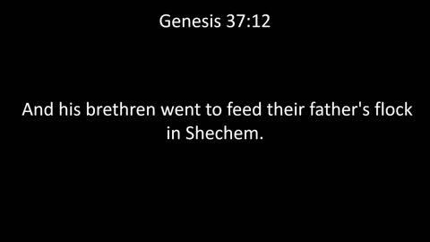 KJV Bible Genesis Chapter 37