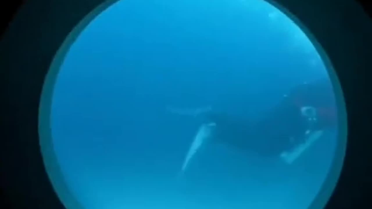 Amazing to see 🙈😊 to get it to the new place to be there for you to get