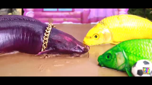 Cat fish fight with little fish