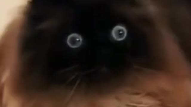 Wow, look at his face