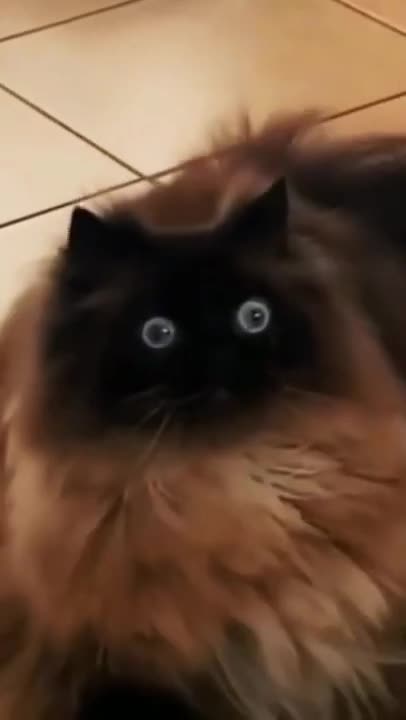 Wow, look at his face