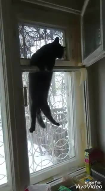 Застрял между окнами