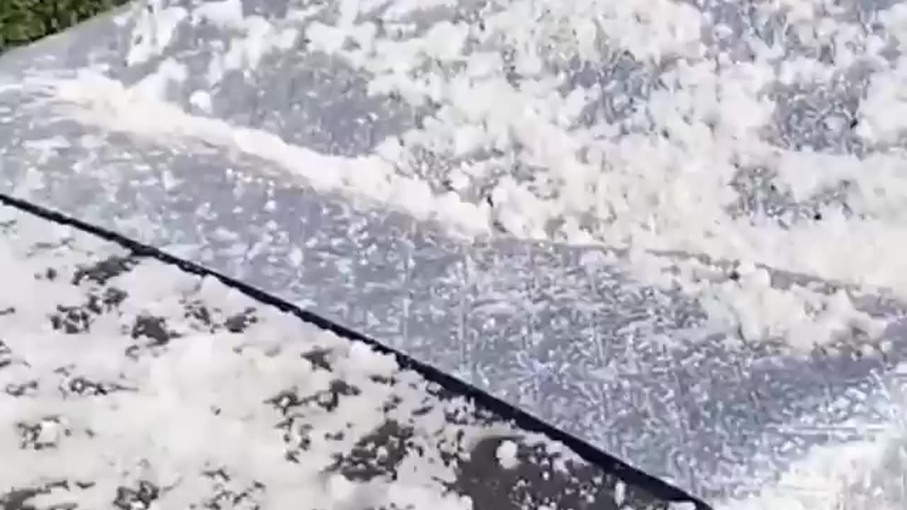 Car Windshield Snow and Sun Cover