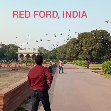 Man Walking VS Burd Flying