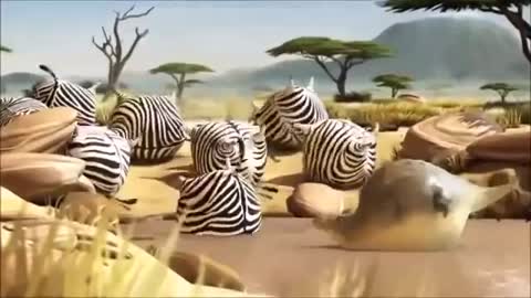 funny chubby animals