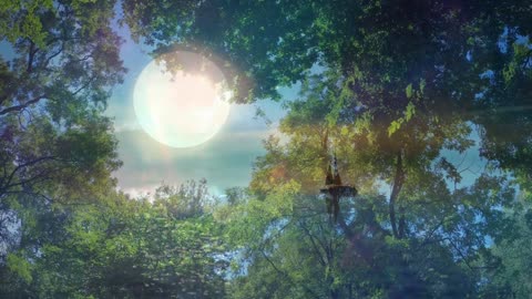 Numerology Energies for October 22 ~ All Heart Tuesday!