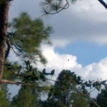 Helicopter with water bucket