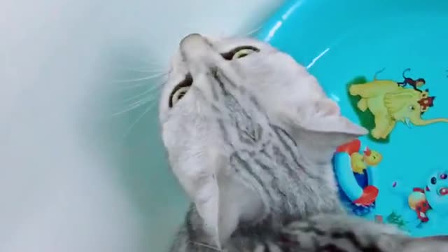 So cute