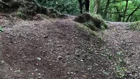 Mountain Unicyclist Attempts Difficult Trail Stunt