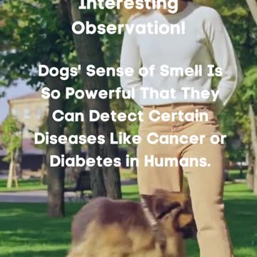 Dogs Fact Fun Facts #shorts #facts #funfacts