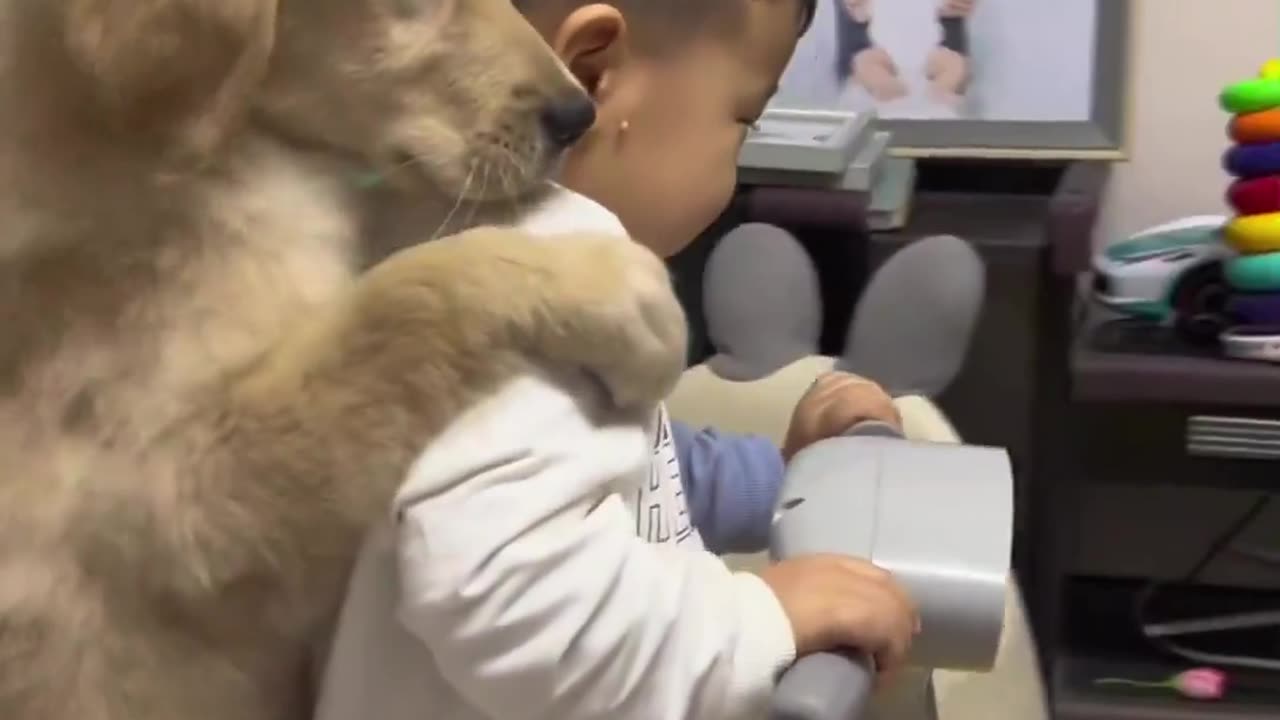 Dog & boy playing on the room