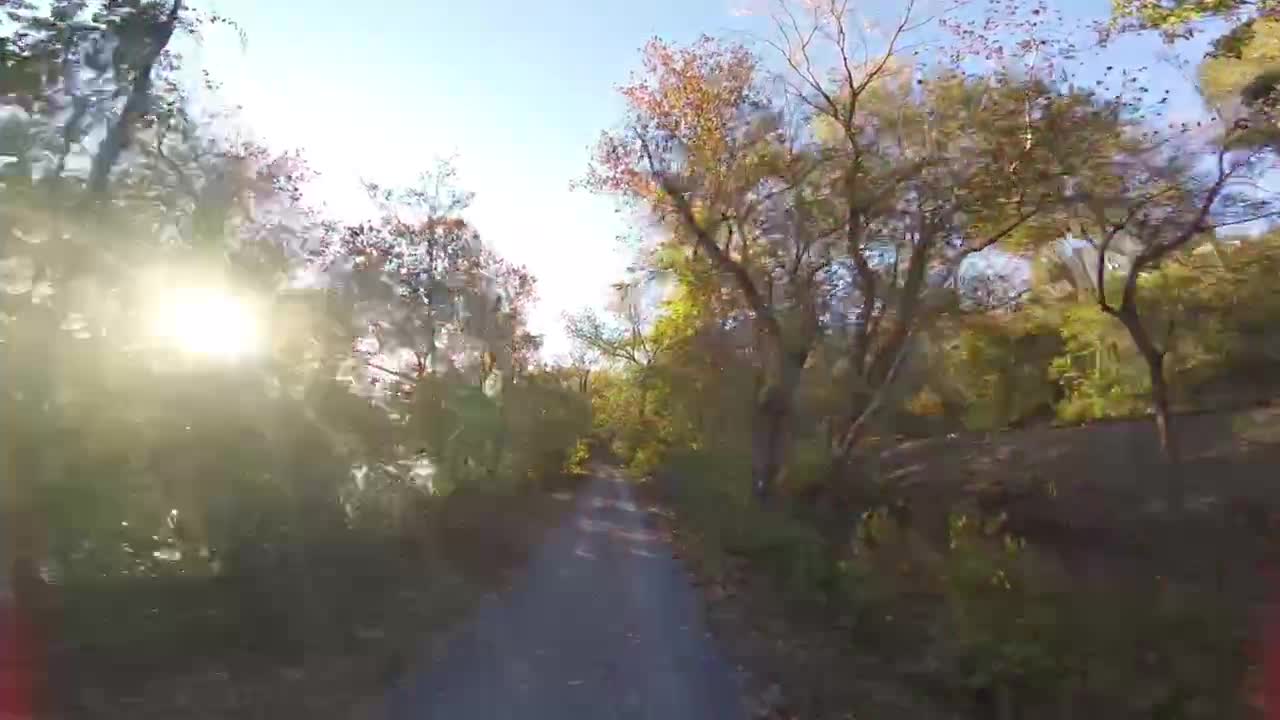 Family ride