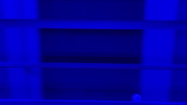 Creapy Laugh Sound