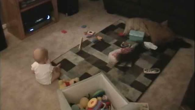 Unsuspecting Baby Knocked Over By Playful Kitten