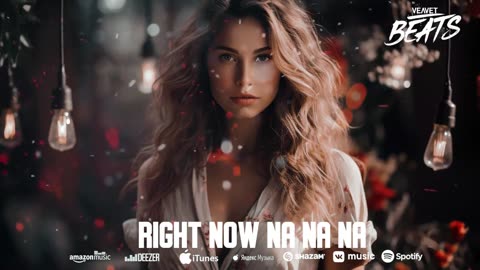 Akon - Right Now Na Na Na Davit Bzikadze Remix