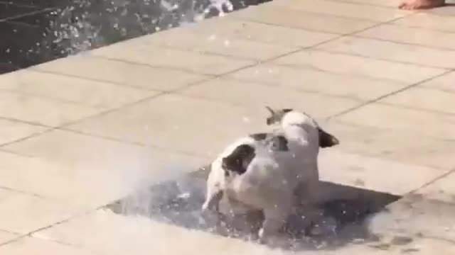 I just want to drink