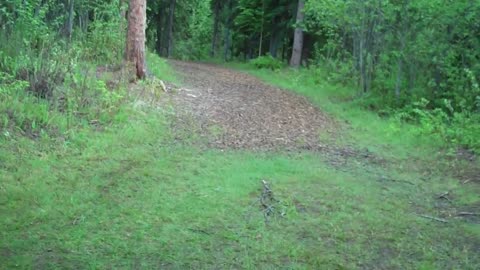 Season 2 , 37th metal detecting hunt of 2012 at Ballaine lake