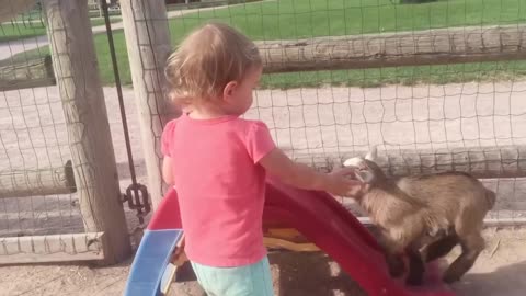 Funny video good best and