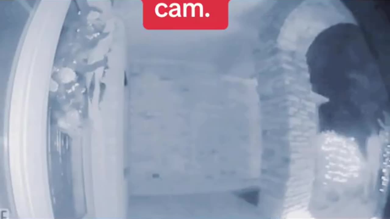 Alien Abduction caught on doorbell camera