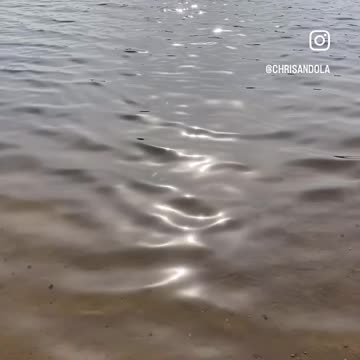 A MOMENT TO REFLECT!