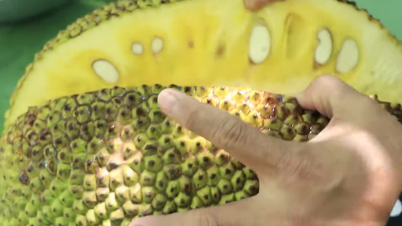 Countryside Life TV: Have you ever picked ripe jackfruit ? / Ripe jack fruit recipe